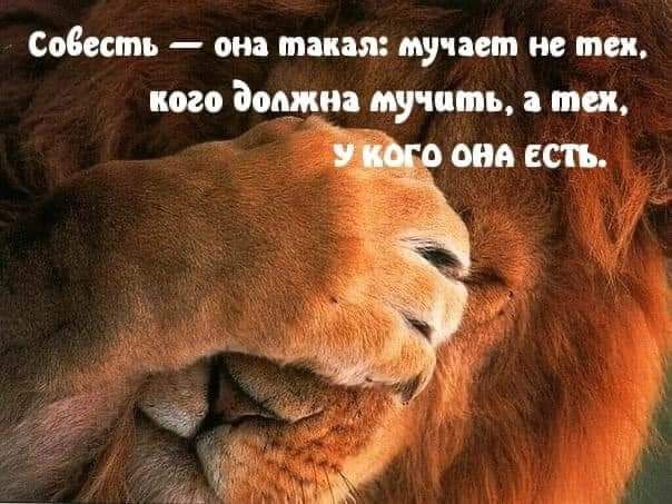 Совесть  она такая: мучает не тех, кого должна мучать, а тех,  2 о ова есть.