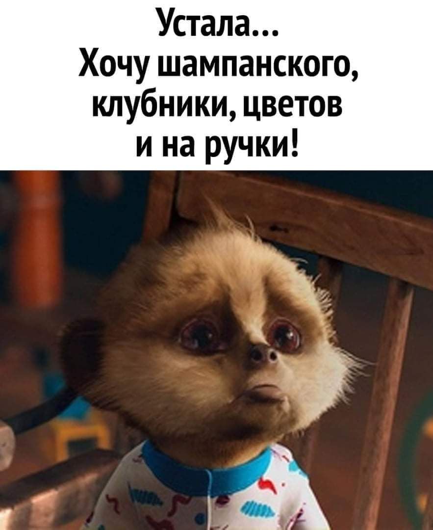 Устала... Хочу шампанского, клубники, цветов ина ручки!