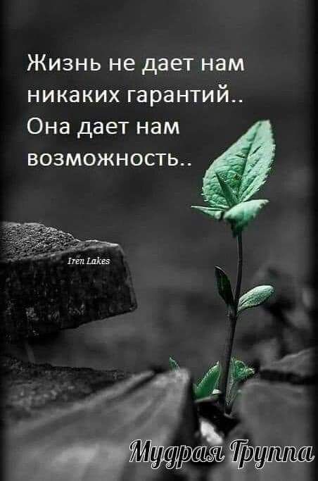 ЖИЗНЬ не дает нам никаких гарантий Она дает нам возможность