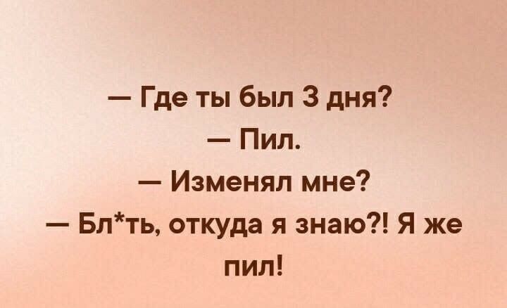 Где ты был 3 дня Пил Изменяп мне Блть откуда я знаю Я же пил