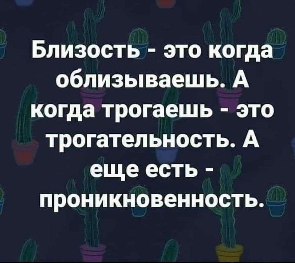 Близость это когда облизываешь А когда трогаешь это трогательность А еще есть проникновенность