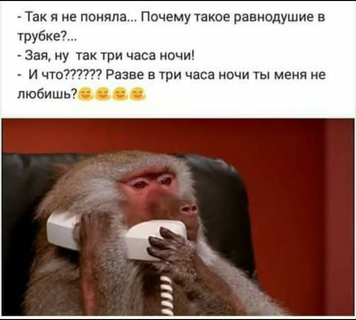 Так я не поняла Почему такое равнодушие в трубке Зая ну так три часа ночи И что Разве в три часа ночи ты меня не любишь