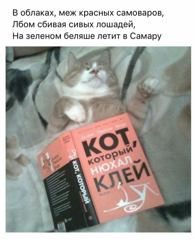 В облаках меж красных самоваров Лбом сбивая сивых лошадей На зеленом бепяше летит в Самару