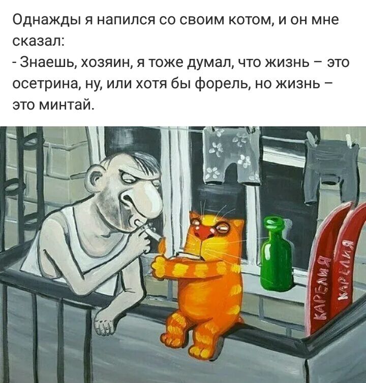 Однажды я напился со своим котом и он мне сказал Знаешь хозяин я тоже думал что жизнь это осетрина ну или хотя бы форель но жизнь это минтай