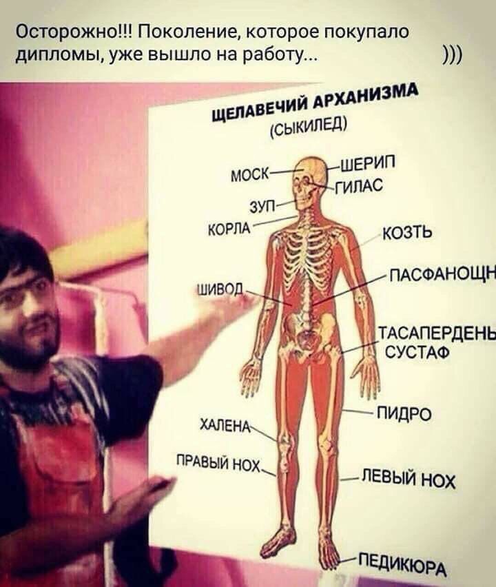 Осторожно Поколение которое покупало дипломы уже вышло на работу вплеечий сыкипЕд