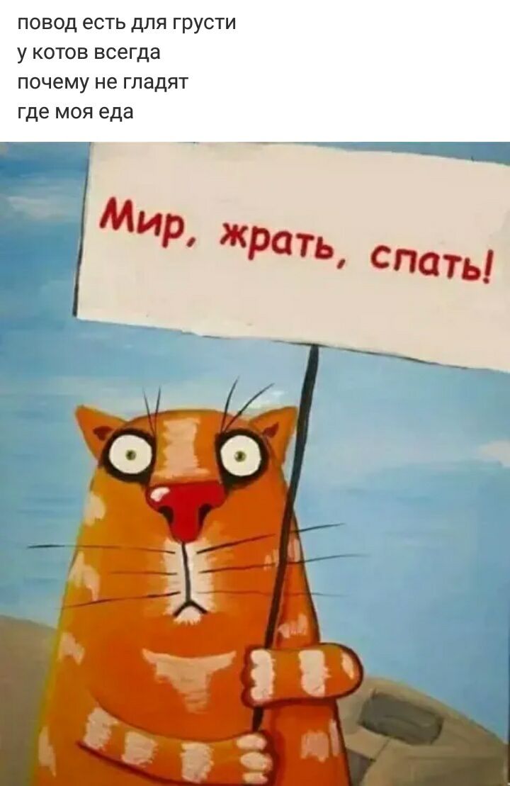 повод есть для грусти у котов всегда почему не гладят где моя еда