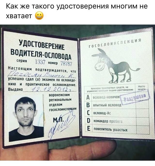 Как же ТЭКОГО удостоверения МНОГИМ не хватает Удостоввгвнин ВОДИТЕЛЯ ословодд ЕВИЯ г А ипивп мы НдКТРЯЩчЧ пплпепмпппм чю __ __т Кит и И УЕПЕШКП А а НИ В акпп ел НИЮ И ЩИИУИЧОШПЕ МЛПБПЖЛЕИИЕ Выдана Т нпппицмкиии И _ пегипиальиыи _ млеппи оп щппмщ гпкпшпиишедлии ипиаиднп А В пшпвппгд П Е ппввпшль ушцпых