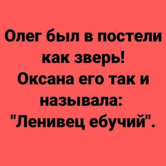 Олег был в постели как зверь Оксана его так и называла Ленивец ебучий