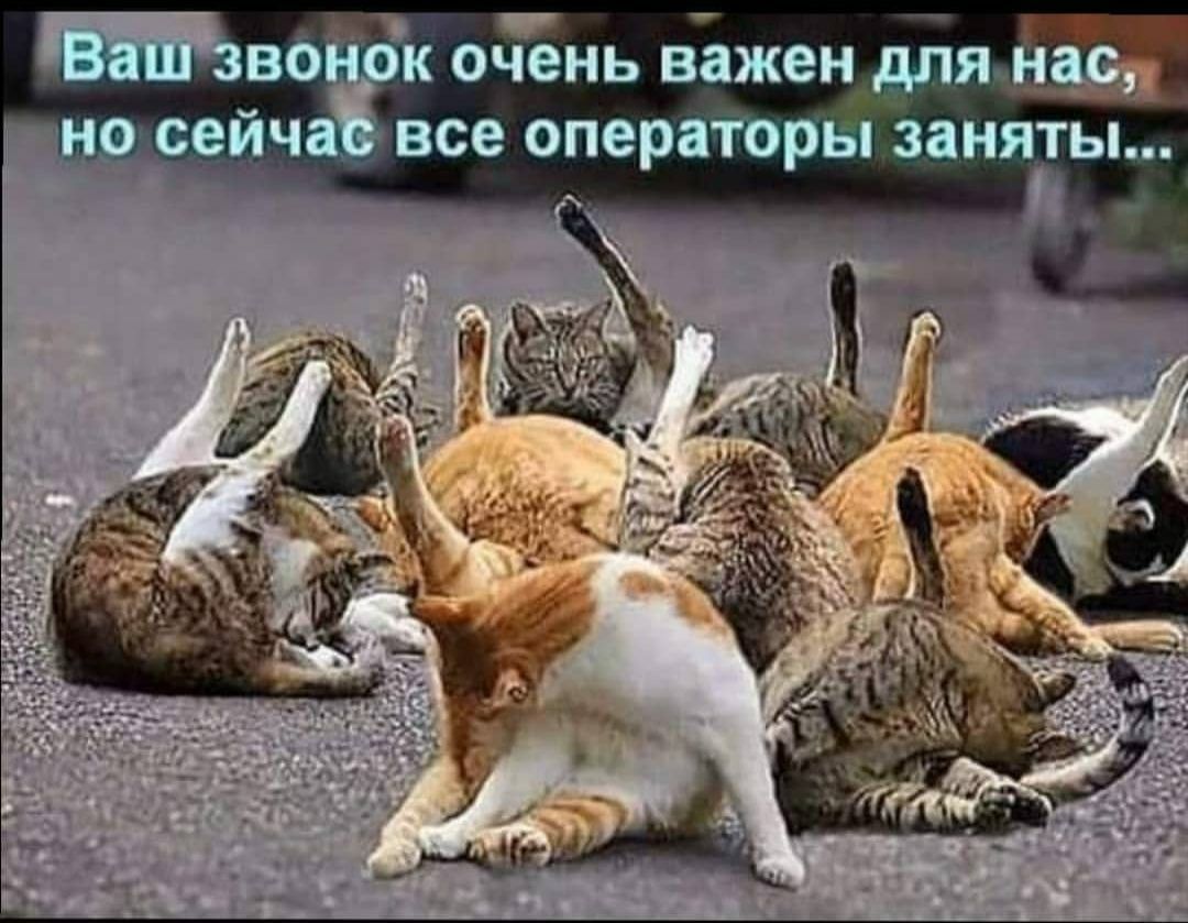 3 Г во ок очень важен для щ но сейча все операторы заняты
