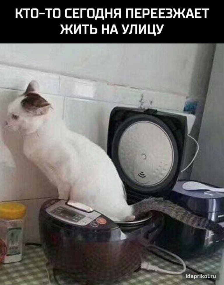 КТО ТО СЕГОДНЯ ПЕРЕЕЗЖАЕТ ЖИТЬ НА УЛИЦУ _ _ АЁЕ МарРин А А