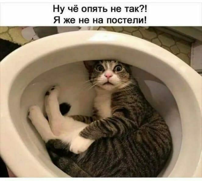 Ну чё опять не так Я же не на постели