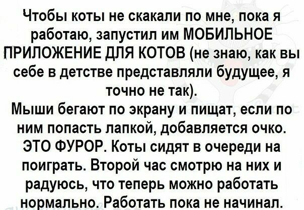 Чтобы коты не скакали по мне пока я работаю запустил им МОБИЛЬНОЕ ПРИЛОЖЕНИЕ ДЛЯ КОТОВ не знаю как вы себе в детстве представляли будущее я точно не так Мыши бегают по экрану и пищат если по ним попасть папкой добавляется очко ЭТО ФУРОР Коты сидят в очереди на поиграть Второй час смотрю на них и радуюсь что теперь можно работать нормально Работать пока не начинал