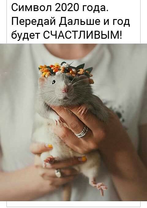 Символ 2020 года Передай Дальше и год будет СЧАСТЛИВЫМ 7