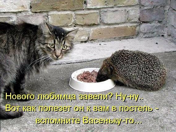 Аиша 33531111 Нуну а гюлазэг он шва 15 постыд БГ ГШМгШГЬ 521 335 Гці Г0