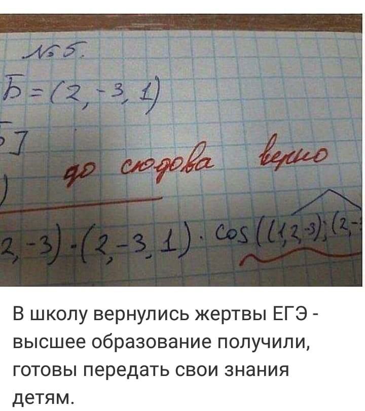 В школу вернулись жертвы ЕГЭ высшее образование получили готовы передать свои знания детям