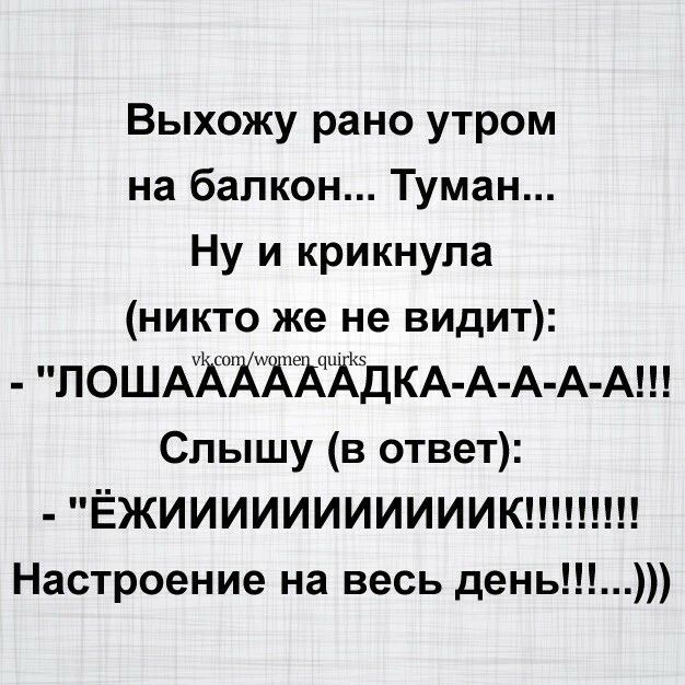 Выхожу рано утром на балкон Туман Ну и крикнула никто же не видит ЛОШАЪЖЖЖЖДКА А А А А Слышу в ответ ЁЖИИИИИИИИИИИК Настроение на весь день