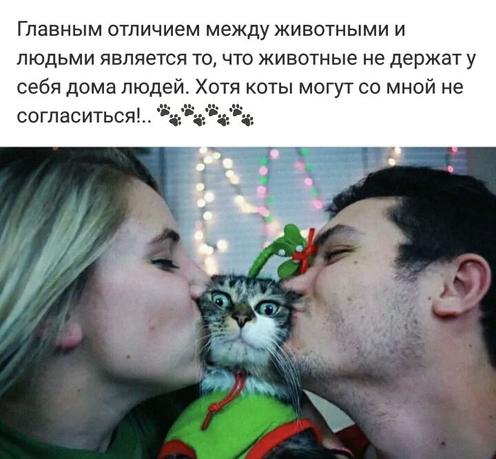 Главным отличием между животными и людьми является то что животные не держат у себя дома людей Хо я коты могут со мной не согласиться