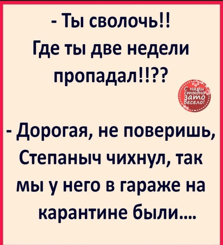 Ты сволочь Где ты две недели пропадал _ Дорогая не поверишь Степаныч чихнул так мы у него в гараже на карантине были