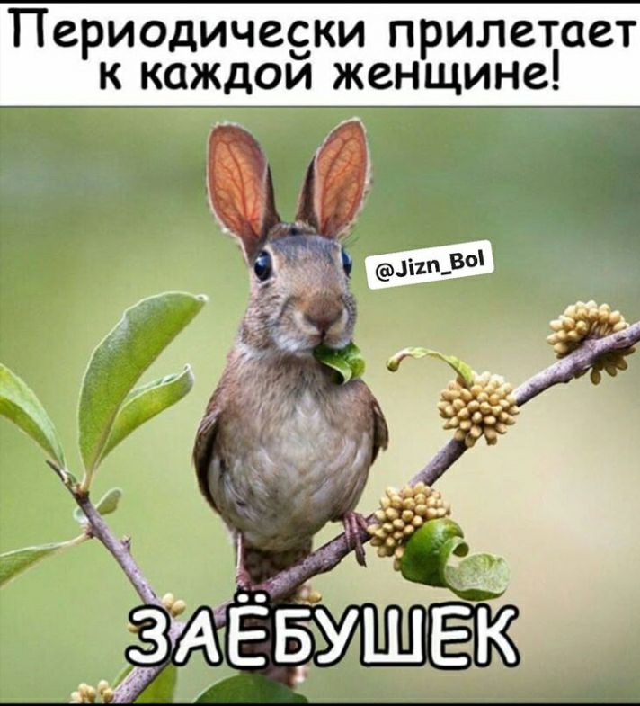 Периодичееки прилетает к каждои женщине