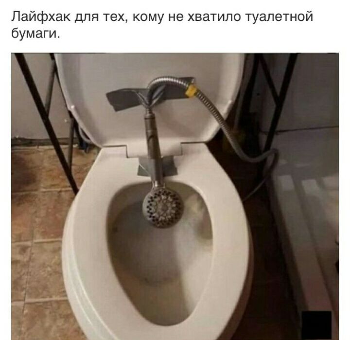 Лайфхак для тех кому не хватило туалетной бумаги