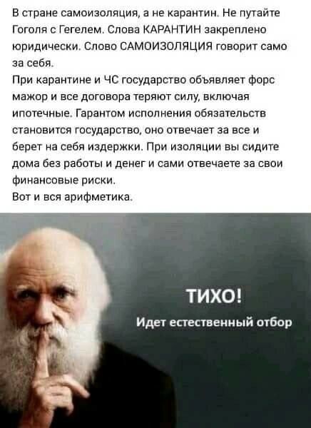 в стране еамоиаопнция а не карантин Не путайте гоголя Гегелем Слева КАРАНТИН закреплено юридически слава сдмоизопяция говорит само за себя При карантине и чс государство объявляет Форс мажсп и все договора теряют силу включая ипотечные Гарантем исполнения обязательств етанввитея государства она отвечает за все и берет на себя издержки При изоляции вы сидите дома без работы и денег и сами отвечаете