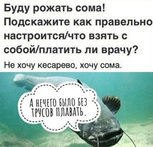 Буду рожать сома Подскажите как правельно настроитсячто взять с собойплатить ли врачу Не хочу кесарево хочу сома А НЕЧЕЮ БЫЛО БЕЗ ТРНЕОВ НЛАВАТЬ