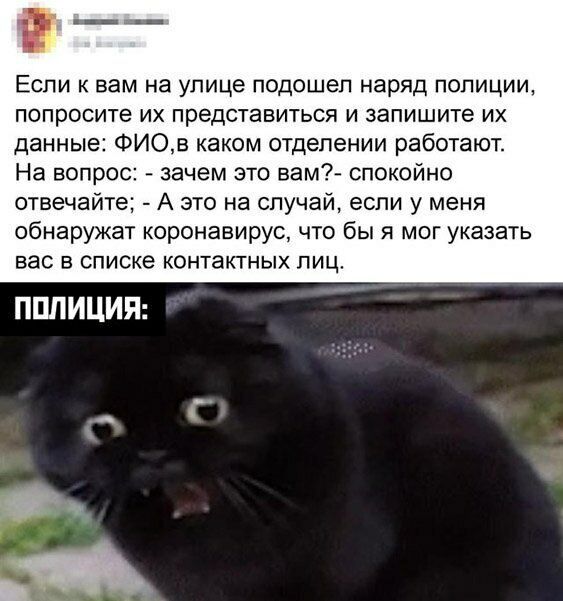 __ _ Если к вам на улице подошел наряд попиции попросите их представиться и запишите их данные ФИОв каком отделении работают На вопрос зачем это вам7 спокойно ОТВЕЧЭЙТЭ А ЭТО на случа если у МЕНЯ обнаружат коронавирус что бы я мог указать вас В Списке КОНТЗКТНЫХ ЛИЦ ПППИЦИП