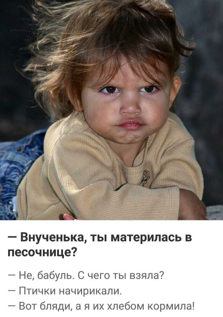 Внученька ты материлась в песочнице Не бабуль С чего ты взяла Птички начирикали Вот бляди а я их хлебом кормила