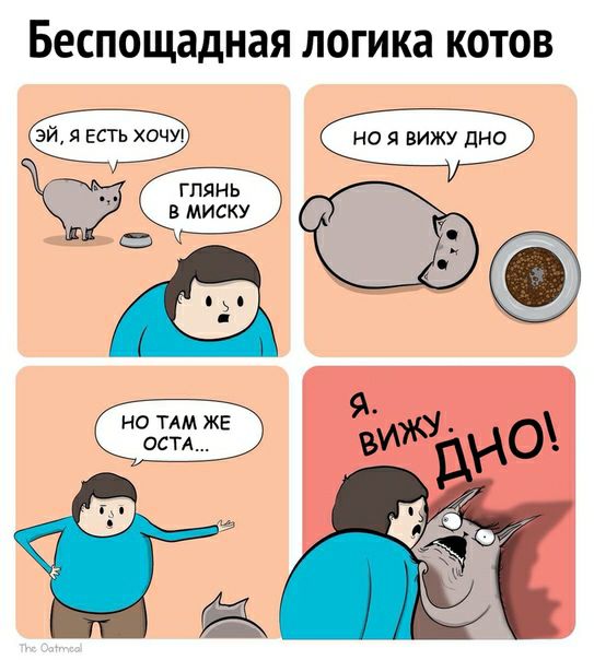 Беспощадная логика котов ЭЙ Я ЕСТЬ ХОЧУ НО Я ВИЖУ дНО ГПЯНЬ В МИСКУ і КУБА НО ТАМ ЖЕ ОСТА