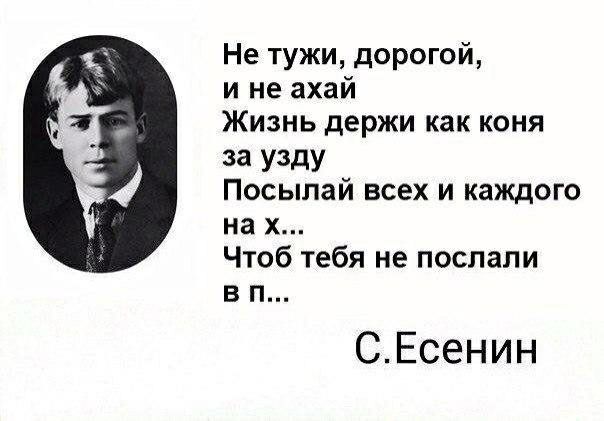 Не тужи дорогой и не ахай Жизнь держи как коня 33 У3дУ Посыпай всех и каждого на х Чтоб тебя не послали в п СЕсенин