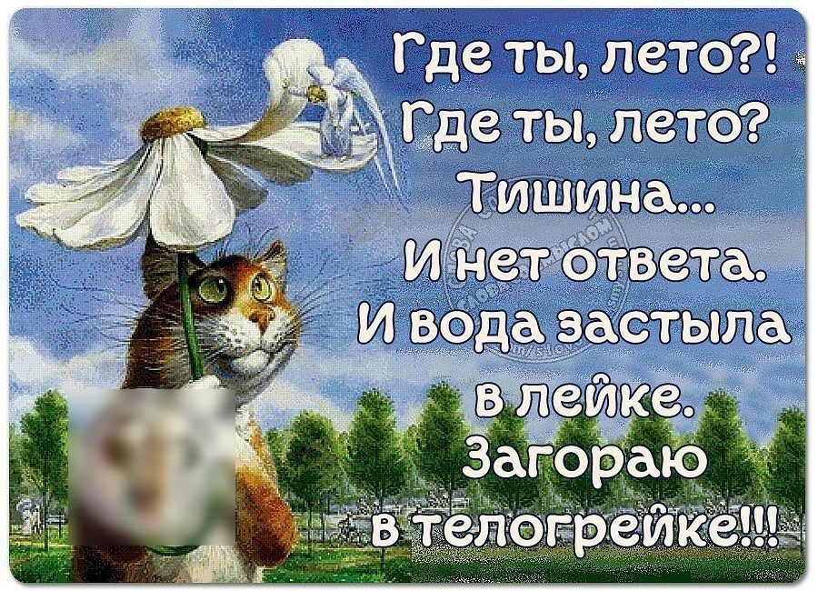 _ ЩЩЁ