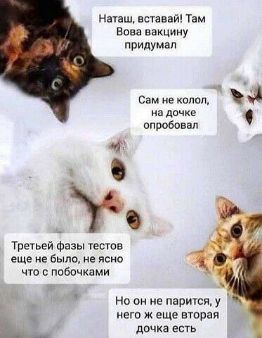 Наташ вставай Там Вова вакцину придумал Сам не опоп на дочке опробовал г Третьей Фазы тестов еще не быть не ясно что побечками Но он не парится у него ж еще вторая дочка ЕСТЬ