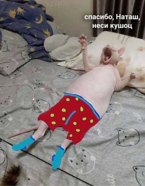 _ асибо Наташ неси кушоц