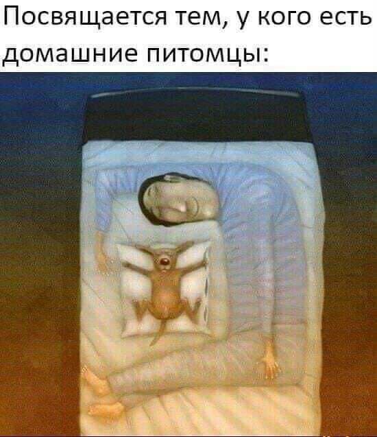 ПОСВЯЩЭЕТСЯ ТЕМ У КОГО ЕСТЬ ДОМЭШНИЕ ПИТОМЦЫ