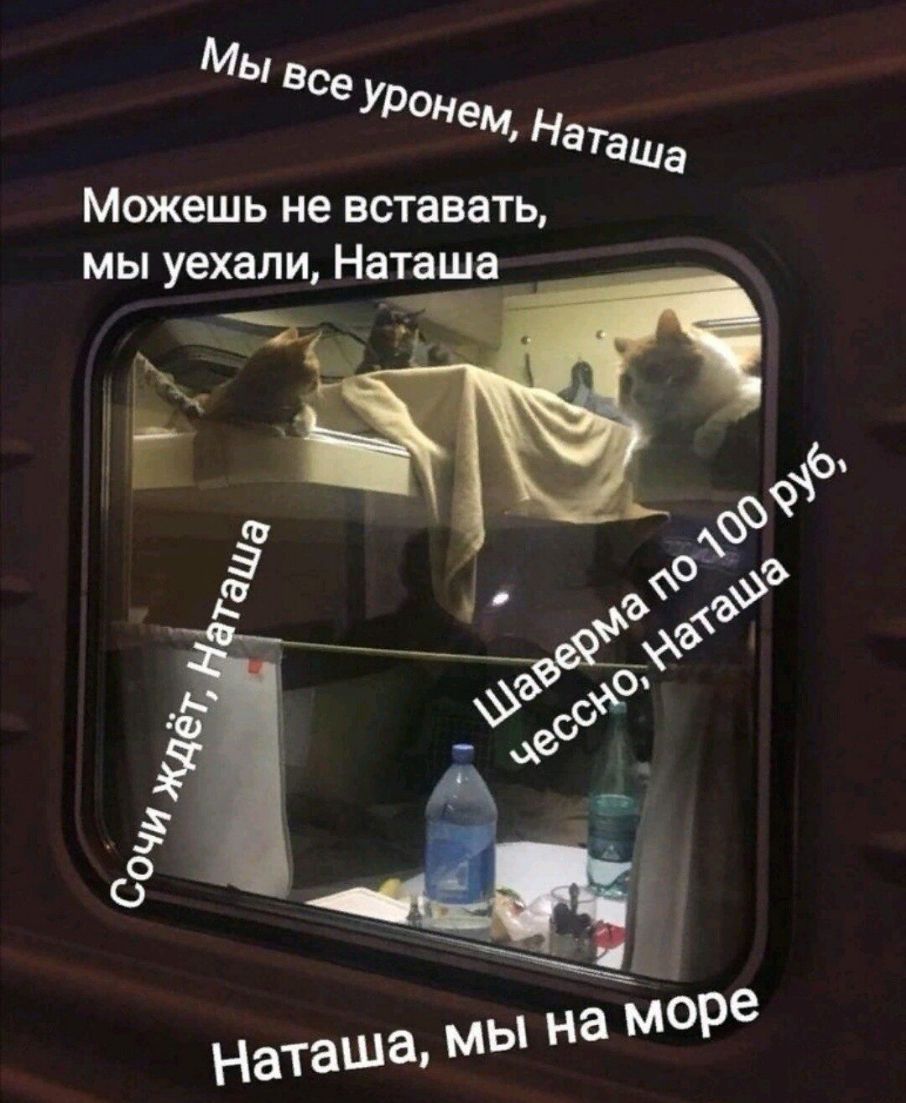 Мы в аша Можешь не вставать мы уехали Наташа