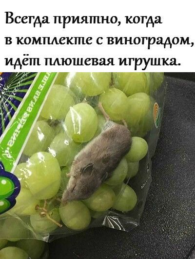 Всегда приятно когда в коммекте с виноградом