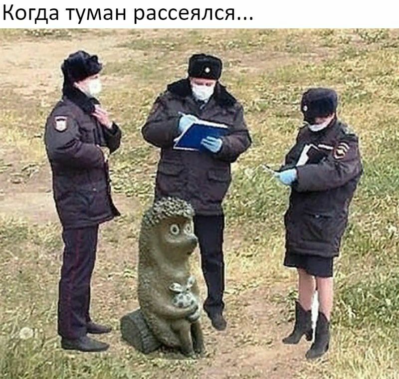 Когда туман рассеялся __д__ __