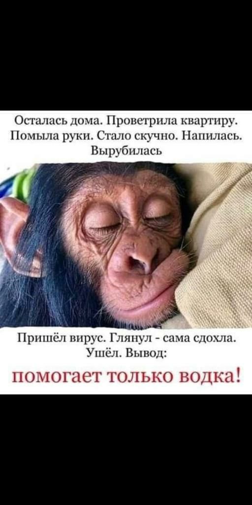 Осгшшсъ лохи Пронсгрпла квартиру Ппмылц руки ПО а тц 1111пшшсъ Вырубпж ь Пришёл ппрус 11пп_л сами сдохла Упшл Вывод НОМО ПСТ ТОЛЬКО ВОДКЦ