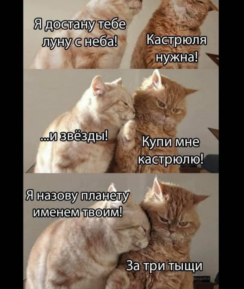 шпыюфу