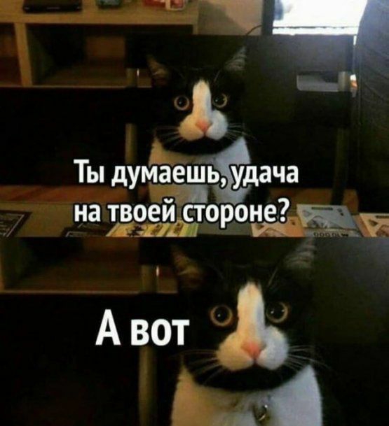Т Ы Ждут щ удача 7 атм т РЁ А вот