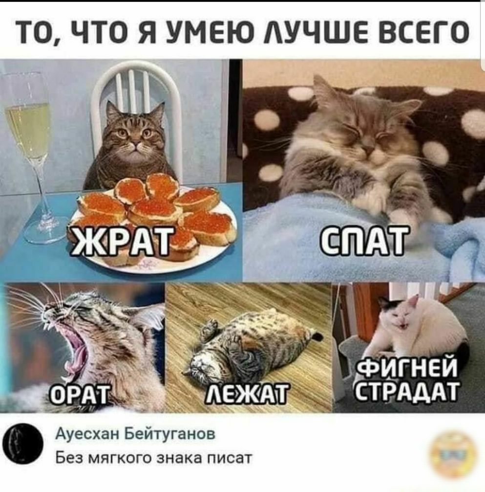 ТО ЧТО Я УМЕЮ УЧШЕ ВСЕГО Ауесхан Бейтуганов Без мягкого знака писат