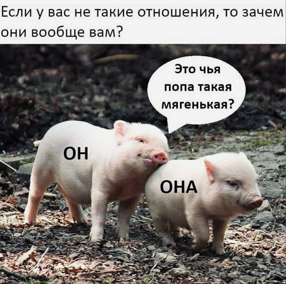 ЕСЛИ У ВЭС НЕ такие ОТНОШЭНИЯ ТО ЗЭЧЭМ они вообще вам Это чья попа такая мягенькая
