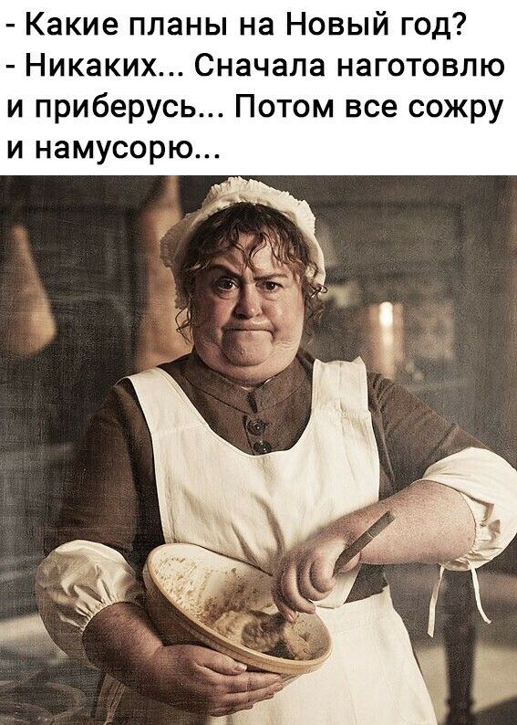 Какие планы на Новый год Никаких Сначала наготовлю и приберусь Потом все сожру и намусорю