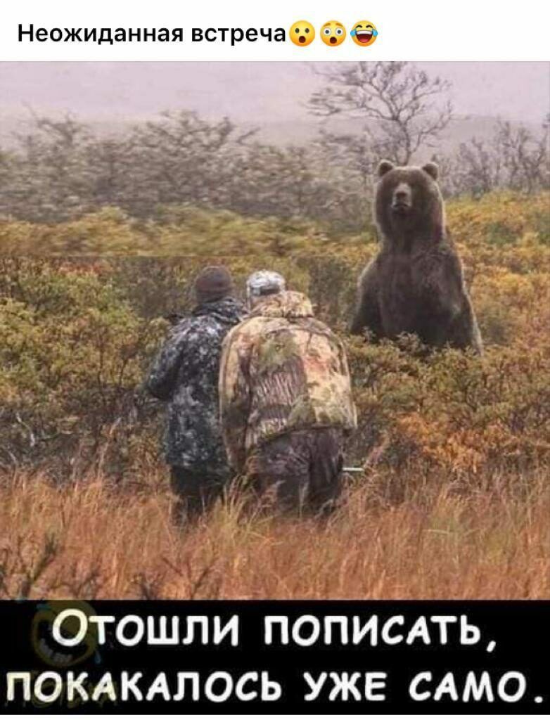 Неожиданная встречао Отошли пописпь помкдлось уже САМО