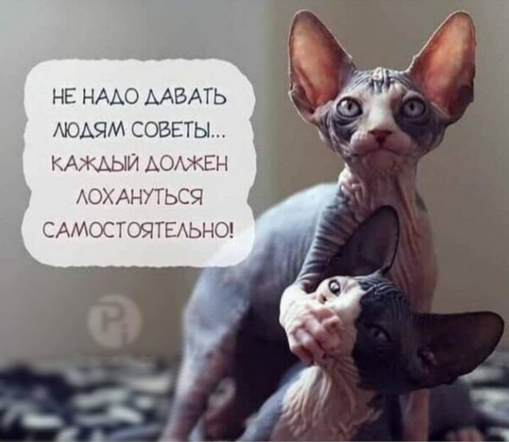 НЕ НААО МВАТЬ АЮАЯМ СОВЕТЫ КАЖАЫИ АОЖЕН АОХАНУТЬСЯ САМОСТОЯТЕАЬНО