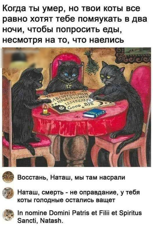 Когда ты умер но твои коты все равно хотят тебе помяукать в две ночи чтобы попросить еды несмотря на то что наелись Восстань Наташ мы там насрапи Наташ смерть не оправдание у тебя коты голодные остались ващет п потіпе Вотіпі Расгів еі Рііі е Зрігііиэ Запан Машзп