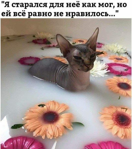 Я старался для неё как мог но ей всё равно не нравилось