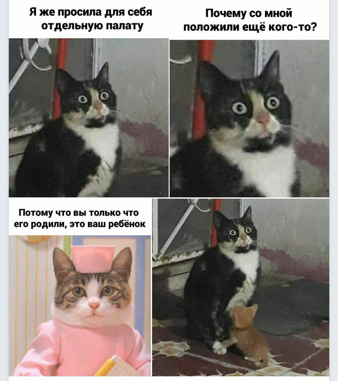 Я же просила для себя почему со мной положили ещё кого то Потому что вы только что его родили это ваш ребёнок ЗТ 77