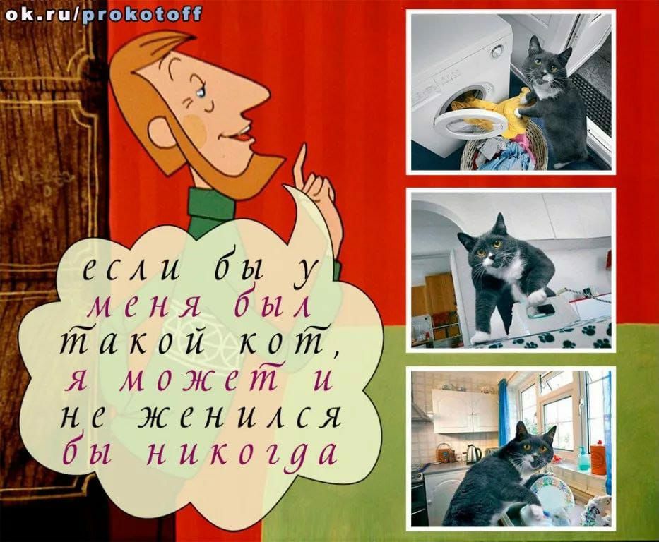 если бы у диеня бы4ч такой квт я может и не женилсяіц бы никоиуя д