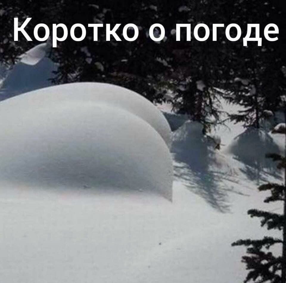 ротко оппогоде